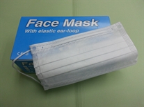 
      Face Mask
    